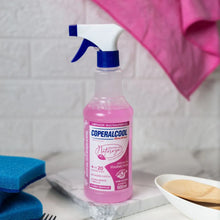 Carregar imagem no visualizador da galeria, Limpador Bacfree Segredos Da Natureza 500ml