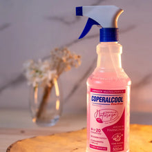 Carregar imagem no visualizador da galeria, Limpador Bacfree Segredos Da Natureza 500ml
